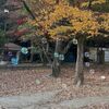 放課後も安心して預けられる