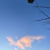 永久