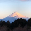今朝の景色
