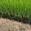 ひさしぶりに歯が痛くてやる気が出なかった火曜日