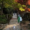 昨日の英彦山、今日のザック