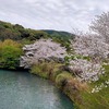 2023年版福岡県福岡市の桜の開花予想