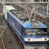 1095レ 鹿島貨物(EF210-109) 【スマホ動画】