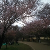 三鷹の森ジブリ美術館+井の頭恩賜公園「桜の花見」で最高の一日