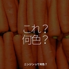 1462食目「これ？何色？」ニンジンって何色？