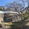 臼杵城 ― 大友宗麟が築いた丹生島の海城と、城下町に残るキリシタン大名の記憶