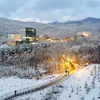 雪の景色、キャンパスにて