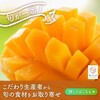 食べチョクでの商品の探し方や生産者から商品が届くまでのまとめ