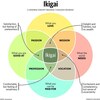 今Ikigai（生き甲斐）がbuzz word!（流行ってる！）