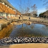 霞ケ浦環境科学センター「上池・下池」（茨城県土浦）