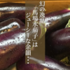 堺で天ぷらなら季節の味が楽しめる【天ぷら旬菜 由庵】がおすすめ