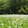 4月23日生まれのあなたへ🥰