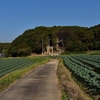 戸明神社 参拝　福岡県北九州市若松区 有毛