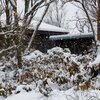 初雪！大雪！粉雪！