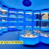 泊まれるミュージアム 「奥出雲多根自然博物館」