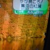 紅葉・・・