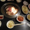 技を盗みに