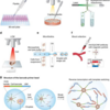 Single-cell RNA sequencing 技術に関するreview