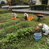 畑の管理・収穫