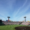 来年こそは甲子園観戦