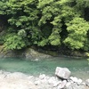 “信玄の隠し湯”中川温泉に行ってきました！川遊びもできるよ〜