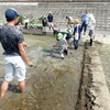 大野幼稚園の田植え2019