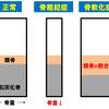   【基礎から学ぶ】骨粗鬆症【整形外科学】