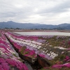 2019.4　北陸の旅（４日目）　　～ 芝桜・六呂師高原温泉キャンプ場 ～