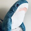 サメちゃん🦈と暮らす