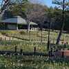 sakeの歩窓から（初めての葛西臨海公園）
