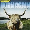 HORN AGAIN / the pillows