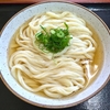  2013/11/09 だしかけうどん(ひやひや) 大