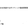 118回歯科医師国家試験【118D-32】歯冠補綴学：ポンテック