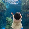 長女(3歳)が、なんでやねん、どないやねん、と言うようになった