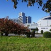 2024/11/24 東京健康ウォーク(南千住) 03 産業技術高等専門学校/白髭橋/石浜神社/アート？/オブジェ/ゴール（汐入公園）/日本動物専門学校（高円寺祭）