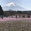 富士山ドライブ　富士芝桜まつりと富士宮やきそば