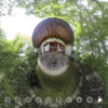 悟りの窓（丸い窓）で有名な源光庵 を THETA で撮る #360pic