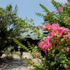 8月11日 山の日