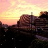 JR根岸線　今日の夕焼け