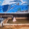 日本秘湯を守る会　湯ノ本温泉 奥壱岐の千年湯　平山旅館　大浴場