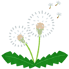タンポポの綿毛のフリーイラスト素材