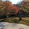 【鎌倉いいね】鎌倉紅葉情報 （12/2現在 特別公開長寿寺と浄智寺）