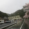 小津トンネル　旧道　木天蓼橋　前編