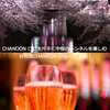 CHANDON ロゼを片手に中目黒の桜のトンネルを楽しむ　お花見CHANDON クルーズ 出航！