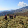 夫婦山・月山へ