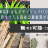 【横浜】まるでダンジョン!?ロウソクを手に持って入る田谷山瑜伽洞（田谷の洞窟）が凄かった！　