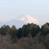 今朝の景色