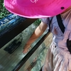 『いきものさわっちゃ王国』に行ってきました！