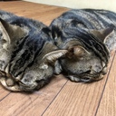fukusukenotubuyaki
