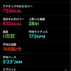 記録　4月5日〜11日